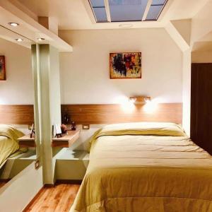 巴拉那Peatonal Suites Paraná的一间卧室设有一张大床和天窗