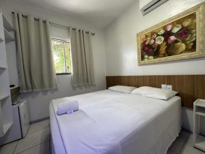 福塔莱萨Hotel Aeroporto Montese Star的一间卧室配有一张带紫色盒子的床