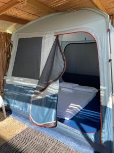 巴顿港Russell Place Tent的开放式帐篷内提供床铺