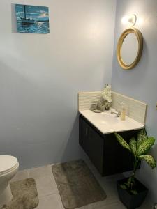 The Blue Moroccan Door - A modern 3 bedroom,2 bathroom home的一间带水槽、卫生间和镜子的浴室