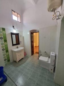 哈里瓦Hotel Bhajgovindam的一间带水槽、卫生间和镜子的浴室