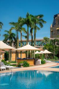 澳门澳门四季酒店的一座棕榈树和遮阳伞的游泳池