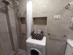 斯拉沃尼亚布罗德Apartment Centar的一间带洗衣机和淋浴的浴室