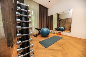 多布尔纳Spa Suite Dobrna - Terme Dobrna的一间设有健身器材的健身房的房间