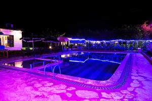 兰纳加Corbett Tiger Retreat的游泳池晚上有紫色灯光