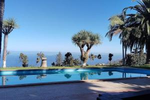 Cruz SantaEspectacular Villa con piscina y vistas al valle的一座棕榈树环绕的游泳池,