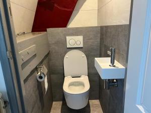 BleskensgraafDe Ouwe Meulen的一间带卫生间和水槽的小浴室