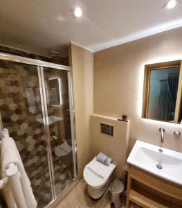 特尔斐匹托酒店的带淋浴、卫生间和盥洗盆的浴室