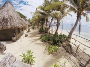 Nanuya LailaiGold Coast Inn - Adults Only的拥有小屋和棕榈树的海滩和大海