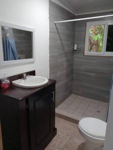 埃尔莱马特Apartamento La Estrella的一间带水槽、卫生间和淋浴的浴室