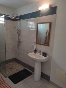 莱特鲁瓦西莱Villa Smile House的浴室配有盥洗盆和带镜子的淋浴