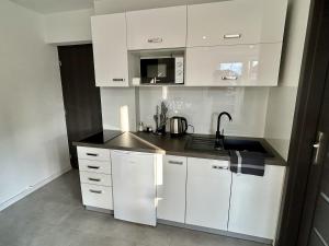 利托斯基简Penzion Za vodou的白色的厨房配有水槽和微波炉