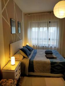阿斯托加Apartamento Shenzhen en Astorga Camino de Santiago Cochera bicis的一间卧室设有一张大床和一个窗户。
