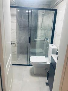 伊斯坦布尔Studio in a social environment的一间带卫生间和玻璃淋浴间的浴室