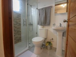 圣地亚哥洛斯卡巴3 BR apartment - READY for your stay WIFI Pool Great Location的浴室配有卫生间、淋浴和盥洗盆。