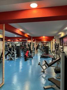雅西Luxury Young Residence的健身房拥有许多跑步机和机器