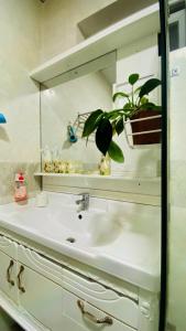 大叻Đà Lạt - Nhà nguyên căn 3 phòng ngủ的浴室水槽,配有镜子和盆栽植物