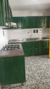 瓜塔佩Hotel sol del lago的厨房配有绿色橱柜和炉灶。 顶部烤箱