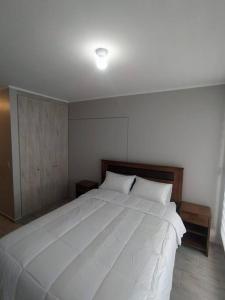 PitrufquénDepartamento Centro Plaza 404的卧室配有一张带两个枕头的大白色床