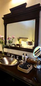 布宜诺斯艾利斯科波拉雅尔丹埃斯孔迪多比翼酒店的浴室设有水槽和床上方的镜子