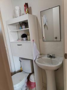 塔克纳Bello departamento en altozano的一间带卫生间、水槽和镜子的浴室