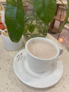 蒙特里亚Hotel Centro Monteria的咖啡在植物旁边的盘子里一杯
