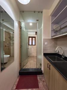 帕坦Shahi Studio Apartment的一间带水槽和玻璃淋浴的浴室