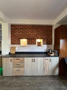 帕坦Shahi Studio Apartment的一个带砖墙台的厨房