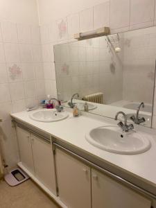 昂热Chambre Angers gare-centre ville 2的浴室设有2个水槽和镜子