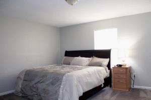 约翰逊城MD Cozy Corner的一间卧室配有一张床和一个带窗户的梳妆台