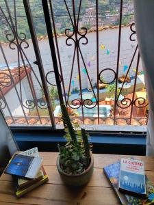 布卡拉曼加Tatami Hostel的桌子,桌子,桌子上放着书,盆栽,窗户