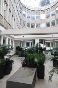伦敦Luxury Capella Court的一座种植了盆栽植物的建筑中的庭院