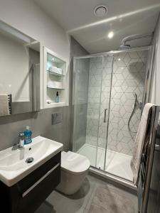 伦敦Luxury Capella Court的带淋浴、卫生间和盥洗盆的浴室