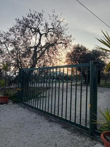 皮斯蒂奇La villa di campagna的绿色金属门,后面有树