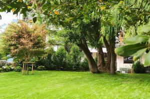 桑坦德Le Petit Apartamentos的绿意盎然的院子,有树和木架