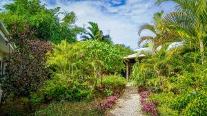 南威Nungwi House的一条穿过种有棕榈树和鲜花的花园的小路