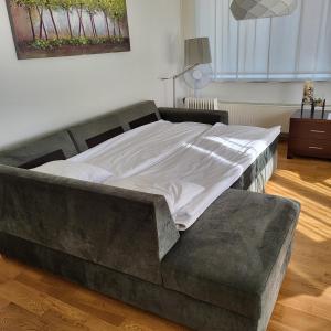 塔尔图Kastani Home的一张大床,位于带一张大床的西德克斯西德克斯的房间里