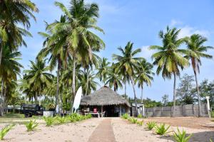 尼拉瓦利Sea Way Hotel的棕榈树海滩上的小屋