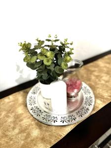 约翰内斯堡Tranquil Living on Maboneng的花瓶,花瓶上放于盘子上的植物