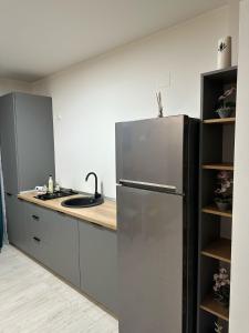 普洛耶什蒂Residence 3的厨房配有冰箱和水槽