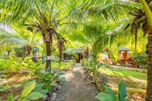 圣卡塔利娜岛Eco-Lodge Deseo Bamboo的一条穿过棕榈树花园的小路