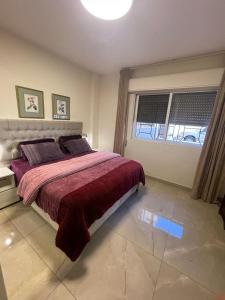安曼A Luxury 2 Bedroom With a perfect location in Sweifiyeh的一间卧室配有一张带红色毯子的床和窗户。