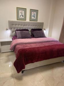 安曼A Luxury 2 Bedroom With a perfect location in Sweifiyeh的一张带红色毯子和两个枕头的大床