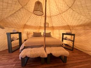 百内三塔Chilenativo Riverside Camp的帐篷内一间卧室,配有一张床
