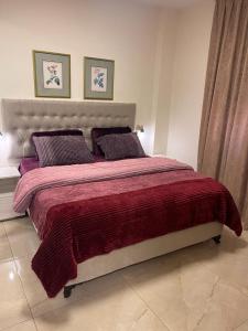 安曼A Luxury 2 Bedroom With a perfect location in Sweifiyeh的一间卧室配有一张带红色毯子的大床