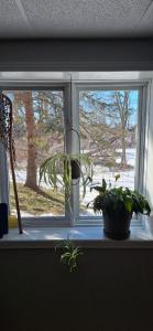 渥太华Nature Retreat in the city的窗台上两盆植物的窗户