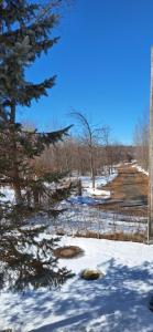 渥太华Nature Retreat in the city的覆盖着雪地的围栏和树木