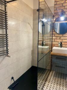 华沙Chillout Loft Apartment AL20的一间带玻璃淋浴和水槽的浴室