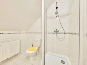 扬斯凯拉兹涅Apartment Villa Belvedere-9 by Interhome的白色的浴室设有卫生间和淋浴。