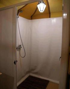梅尔祖卡Sahara Safari Camp的带淋浴的浴室,天花板上配有灯